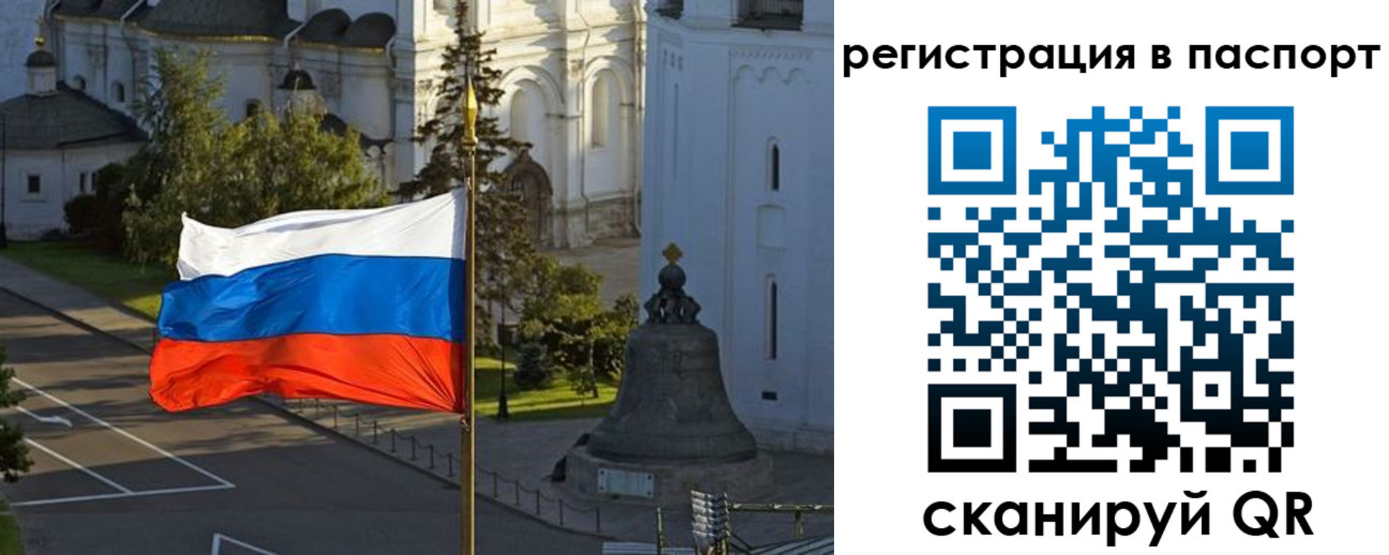 где прописаться в Мончегорске